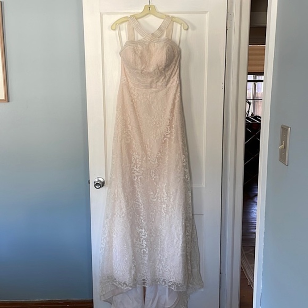 Beautiful A line, lace, ivory/ blush colored wedding gown from David’s Bridal.
